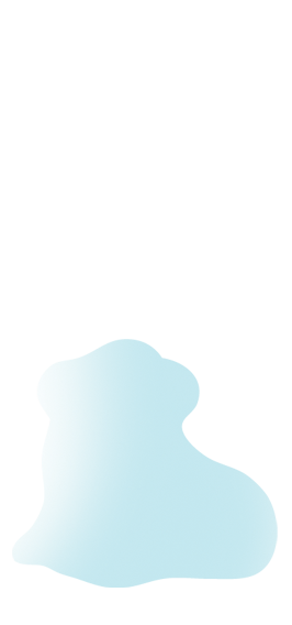 Model 5